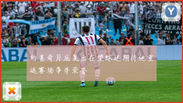 约基奇月底复出在望球迷期待他重返赛场争夺荣誉