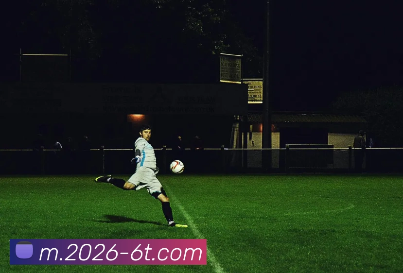 6T体育APP 封面图